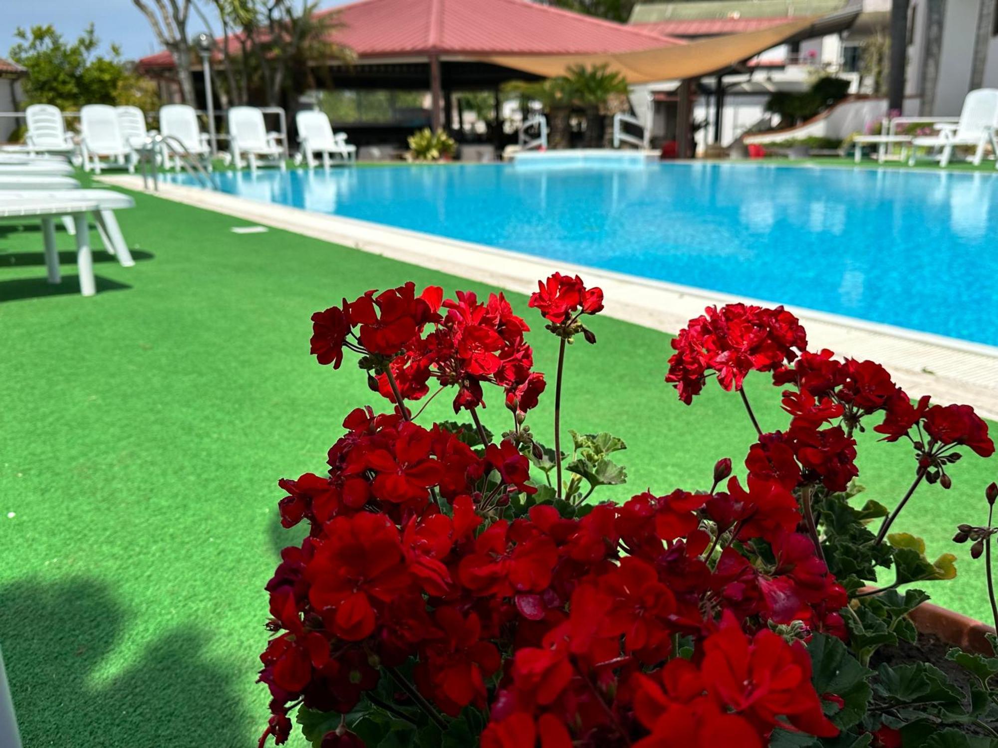 Hotel B&B Marina Capaccio Екстериор снимка