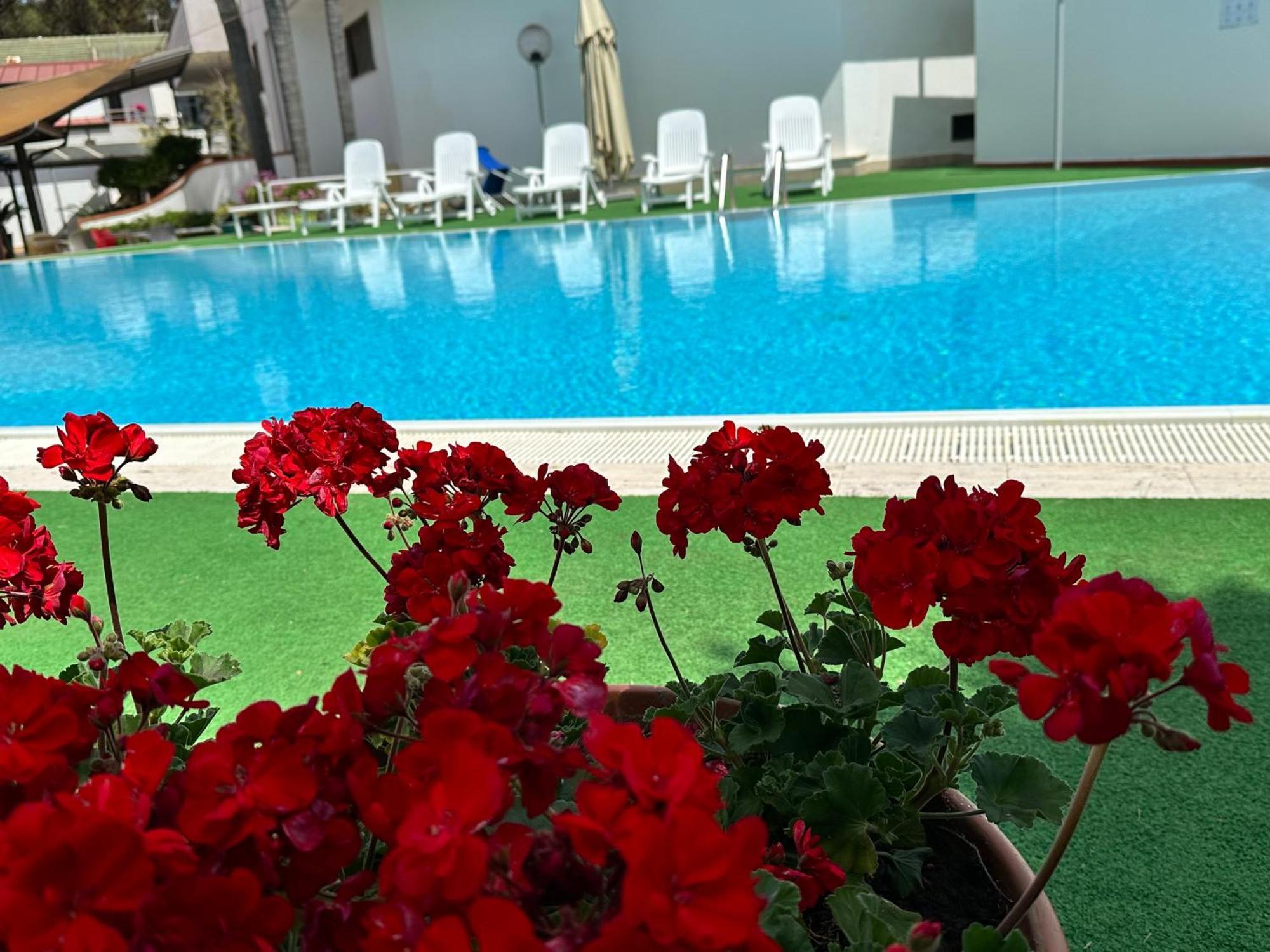 Hotel B&B Marina Capaccio Екстериор снимка