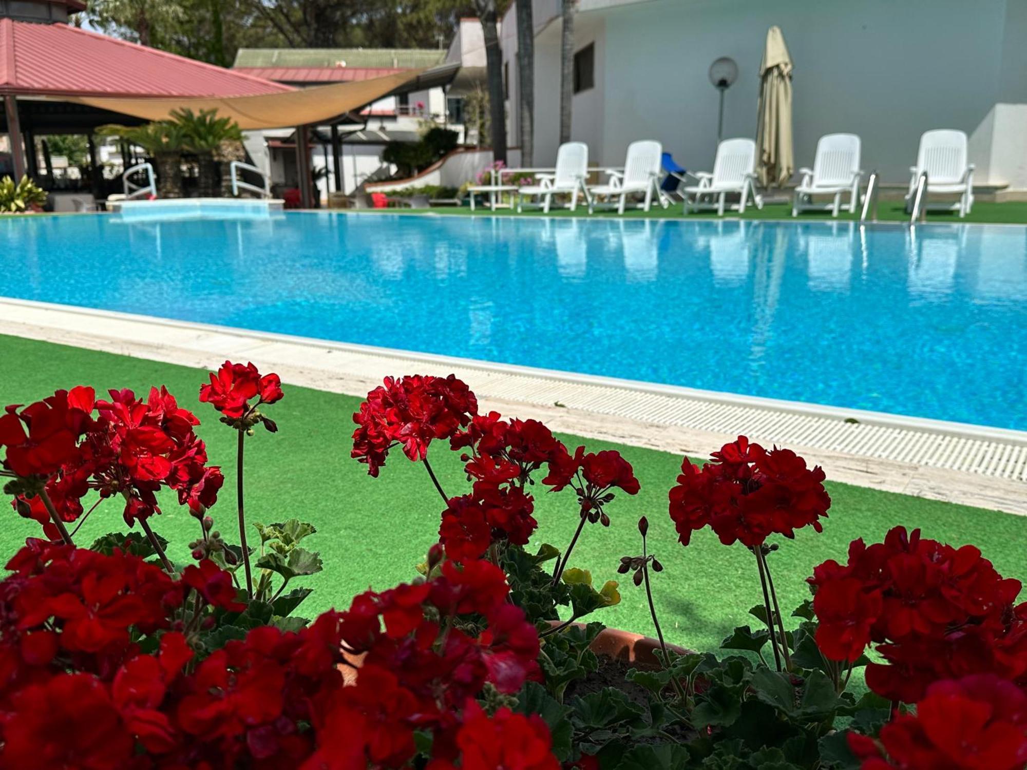 Hotel B&B Marina Capaccio Екстериор снимка